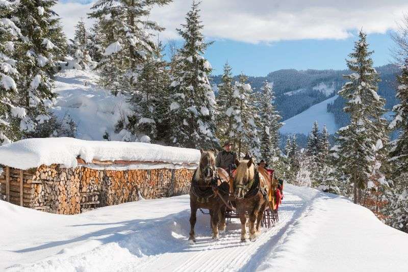 Horse Drawn sleigh ride